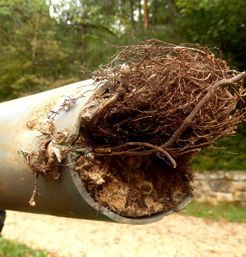 blocked-drains-cleared-upm-plumbing-gawler-barossa